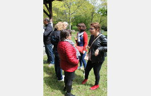 5cd2dc8394e9e_IMG4555.JPG