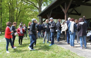 5cd2dcd50a2aa_IMG4558.JPG